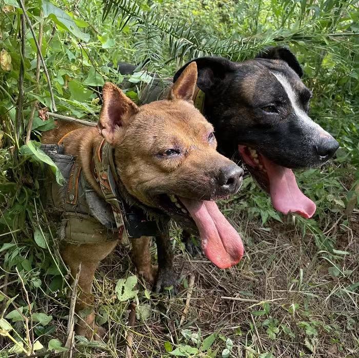 20220707103729 20220707103729