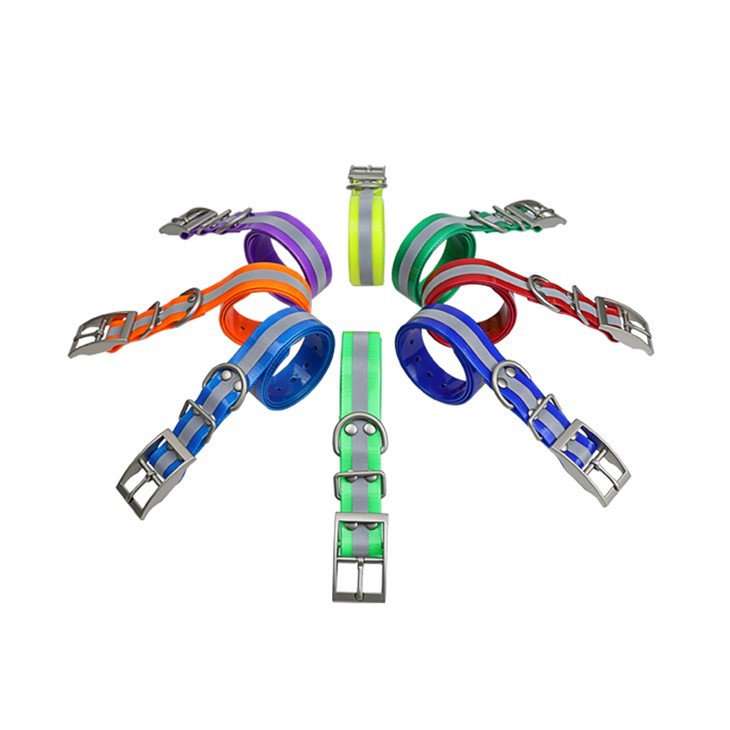 Laisse de collier pour chien de chasse Premium TR-Dog