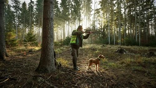 Maîtriser le vent : pourquoi la direction du vent est importante pour la chasse