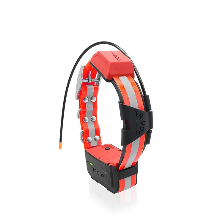 Dispositif pour collier de chien TR-Dog® R60